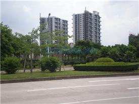 深南大道东-永昶公寓-深圳房地产信息网