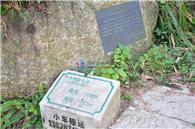 金山碧海项目现场