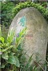 金山碧海项目现场