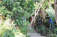 金山碧海项目现场