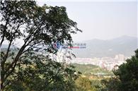 金山碧海项目现场