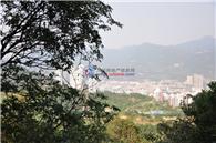 金山碧海项目现场