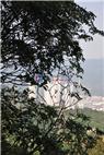 金山碧海项目现场