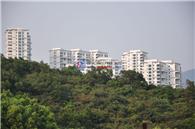 金山碧海项目现场
