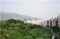 金山碧海项目现场