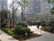 花样年花郡实景图