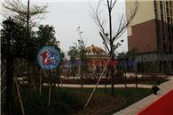 怡龙枫景园实景图