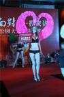 皇家公园大道项目现场