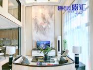 碧桂园盛汇项目现场