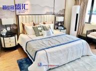 碧桂园盛汇项目现场