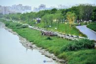 上村生态公园